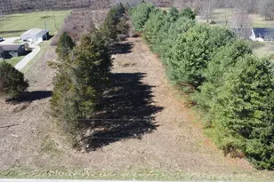 4557 Dry Run Rd, Chillicothe, OH 45601 - Photo 3