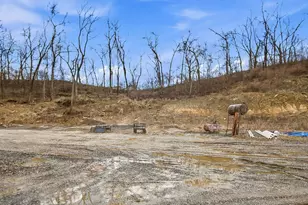 8660 Rural Dale Rd, Blue Rock, OH 43720 - Photo 47