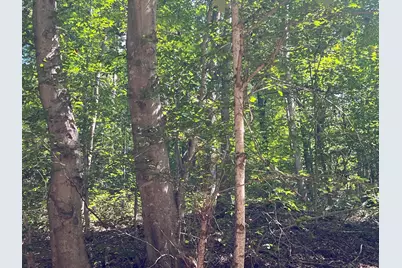 0 Goose Creek Road, South Bloomingville, OH 43152 - Photo 3