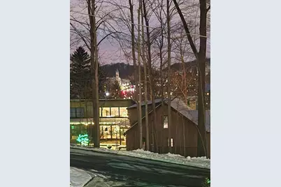 324 Mount Parnassus Drive, Granville, OH 43023 - Photo 51