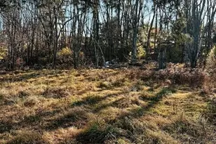 800 W Main St, Loudonville, OH 44842 - Photo 29