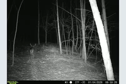 0 Township Road 134 SE, New Straitsville, OH 43766 - Photo 17