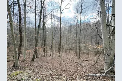 0 Township Road 134 SE, New Straitsville, OH 43766 - Photo 9