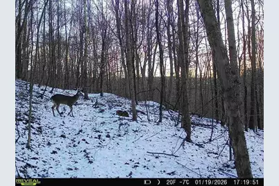 0 Township Road 134 SE, New Straitsville, OH 43766 - Photo 15