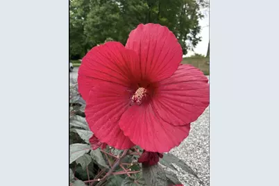 1136 Porter Lane, Centerburg, OH 43011 - Photo 79