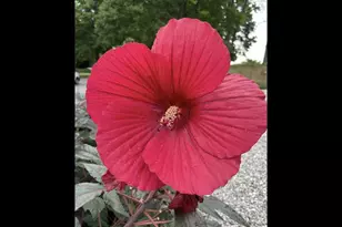 1136 Porter Ln, Centerburg, OH 43011 - Photo 79