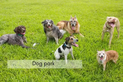 155 Grand Ridge Road, Howard, OH 43028 - Photo 41