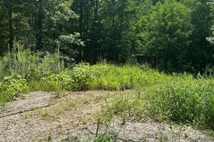 6227 Guinn Rd, McConnelsville, OH 43756 - Photo 3