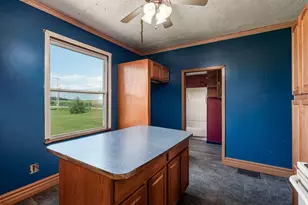 3935 N Section Line Rd, Radnor, OH 43066 - Photo 11