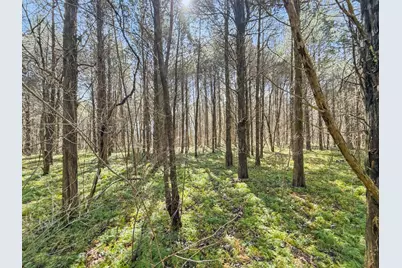 6075 State Route 73, Bratton Township, OH 45660 - Photo 31