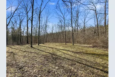 6075 State Route 73, Bratton Township, OH 45660 - Photo 41