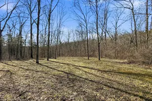 6075 State Route 73, Peebles, OH 45660 - Photo 41