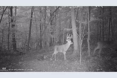 6075 State Route 73, Bratton Township, OH 45660 - Photo 45