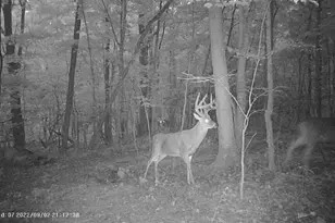 6075 State Route 73, Peebles, OH 45660 - Photo 45