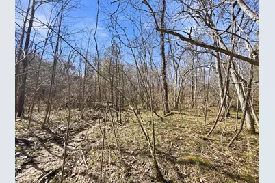 6075 State Route 73, Bratton Township, OH 45660 - Photo 35