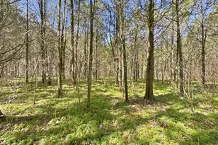 6075 State Route 73, Peebles, OH 45660 - Photo 29