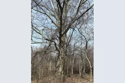 5828 Township Road 14, Mount Gilead, OH 43338 - Photo 3