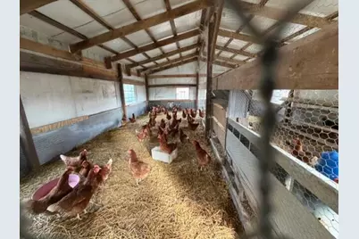 380 Flag Dale Road S, Junction City, OH 43748 - Photo 7