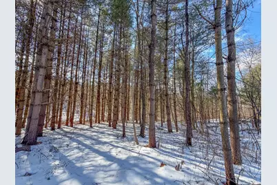 0 Blue Rock Church Road, Chandlersville, OH 43727 - Photo 13