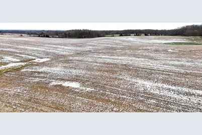 0 County Road 98, Mount Gilead, OH 43338 - Photo 5