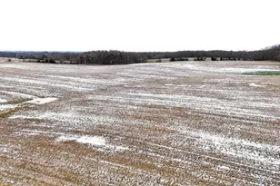 0 County Road 98, Mount Gilead, OH 43338 - Photo 5