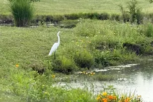 7065 Maynard Pl, New Albany, OH 43054 - Photo 49