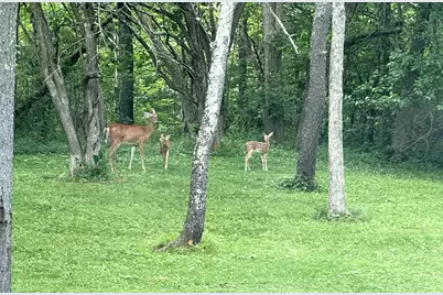 7664 Denunes Road, Johnstown, OH 43031 - Photo 67