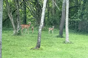 7664 Denunes Rd, Johnstown, OH 43031 - Photo 67