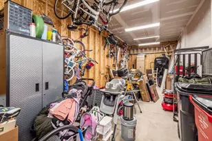 979 Ping Ln, Sunbury, OH 43074 - Photo 63