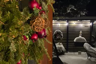 223 Virginia Ln, Waverly, OH 45690 - Photo 79