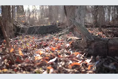 0 Cherry Lane NW, Baltimore, OH 43105 - Photo 3