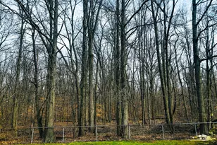 424 Sycamore Dr, Pickerington, OH 43147 - Photo 43