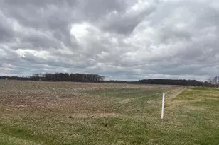 0 Marsh Rd, Ostrander, OH 43061 - Photo 3