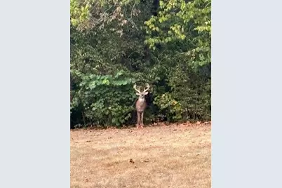 20000 Kalklosch Road, Logan, OH 43138 - Photo 41