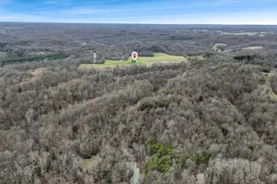 5502 Dutch Ridge Rd SE, New Straitsville, OH 43766 - Photo 71