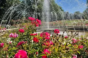 139 Aldrich Rd, Columbus, OH 43214 - Photo 45