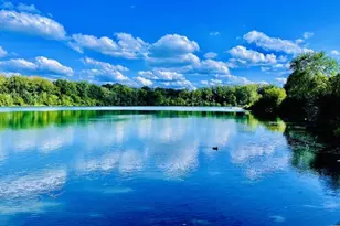 139 Aldrich Rd, Columbus, OH 43214 - Photo 37