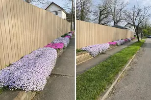 363 E Morrill Ave, Columbus, OH 43207 - Photo 35