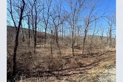 0 Sulphur Spring Road SE #(Sulphur Springs), New Lexington, OH 43764 - Photo 13