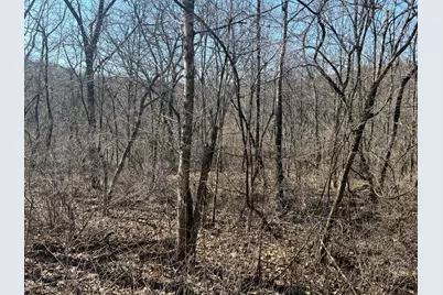 0 Sulphur Spring Road SE #(Sulphur Springs), New Lexington, OH 43764 - Photo 11