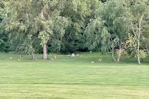 123 Hidden Hills Dr, Pataskala, OH 43062 - Photo 5