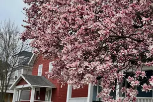 63 N Ogden Ave, Columbus, OH 43204 - Photo 45