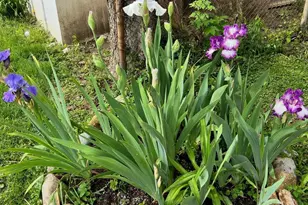 63 N Ogden Ave, Columbus, OH 43204 - Photo 51