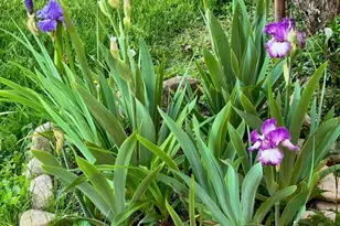 63 N Ogden Ave, Columbus, OH 43204 - Photo 53