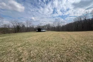 50238 Headley Rd, Reedsville, OH 45772 - Photo 57