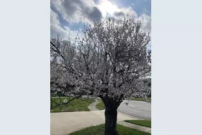 1952 Sherring Court, Reynoldsburg, OH 43068 - Photo 27