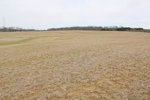 0 County Road 97, Mount Gilead, OH 43338 - Photo 11