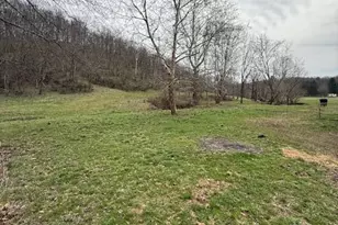 16714 Mush Run Rd, Athens, OH 45701 - Photo 11