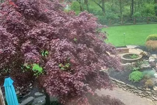 5504 Old Pond Dr, Dublin, OH 43017 - Photo 7