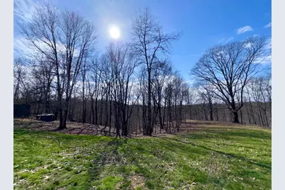 7305 Dietrick Hill Road, Philo, OH 43771 - Photo 25